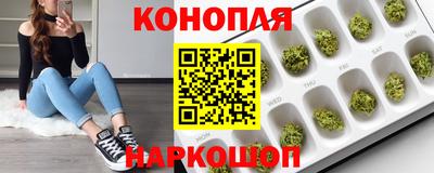 молекула духа Гагарин