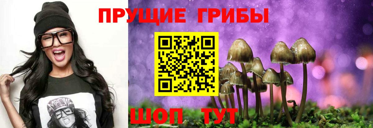 Галлюциногенные грибы мицелий  Вход с VPN  Кумертау 
